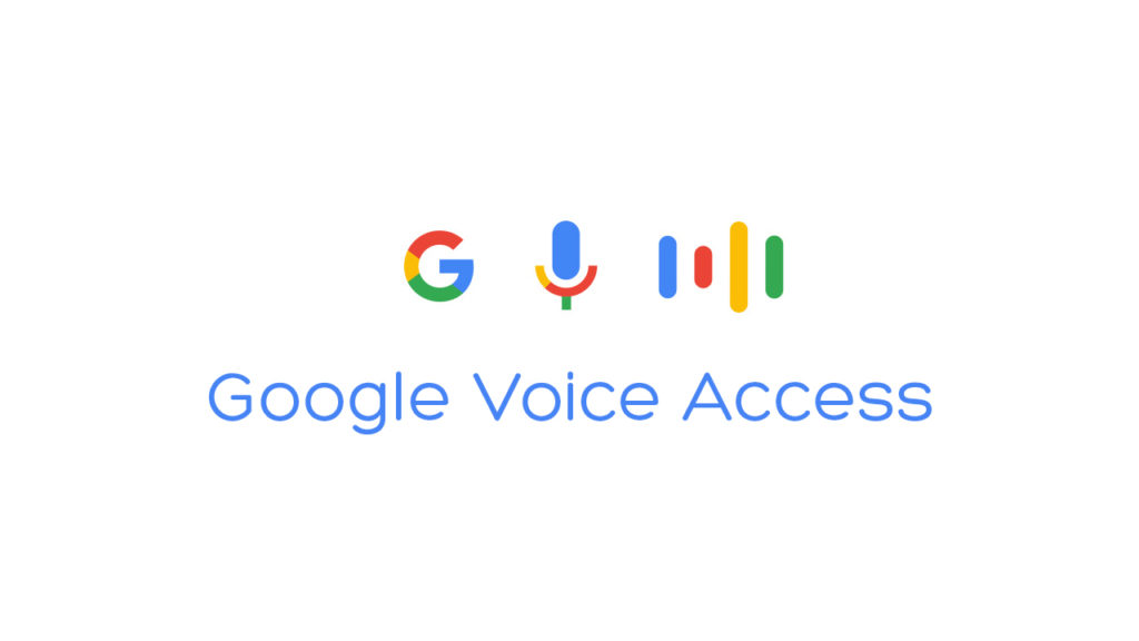 Google-Voice-Access