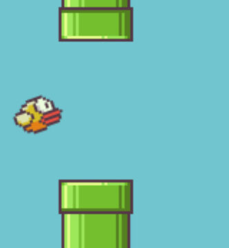 Flappy Bird 21