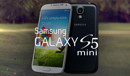 Samsung Galaxy S5 mini