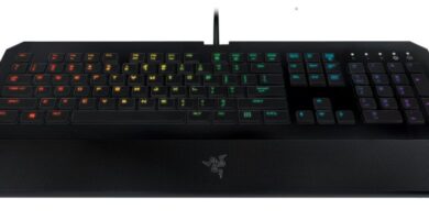 RZR DeathStalkerChroma FrtV4