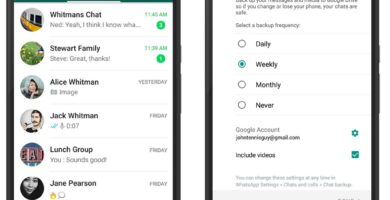 drive whatsapp double