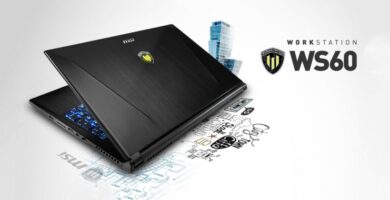 ws 60