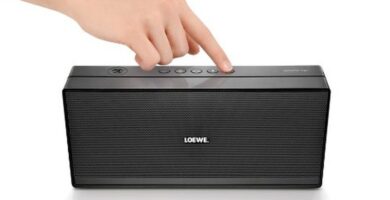 loewe speaker 2go 1