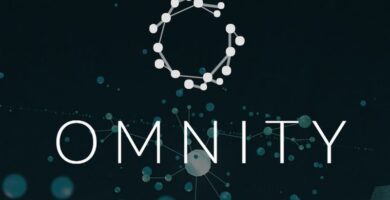 omnity