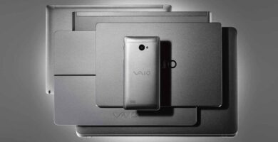 vaio biz