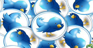 twitter despidos