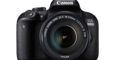 canon eos 800d