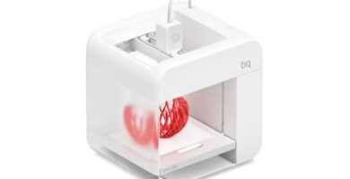 Witbox go