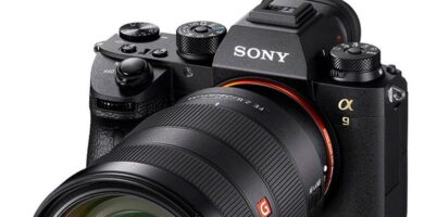 sony a9 1