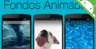 fondos animados