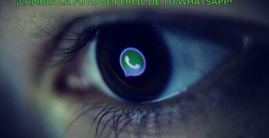 whatsapp ocultar foto perfil