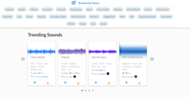sample focus