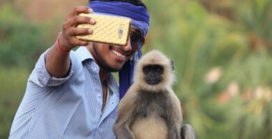 selfie with monkey pixabay