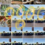 IMG 2DC7957332E3 1 min