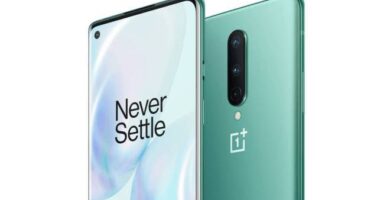 OnePlus 8 Green