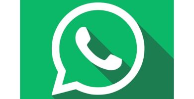 WhatsApp silenciar grupo