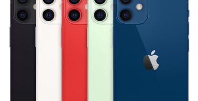iPhone 12 Mini