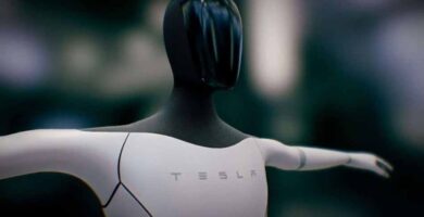 Tesla Bot