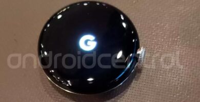 Google-Pixel-Watch