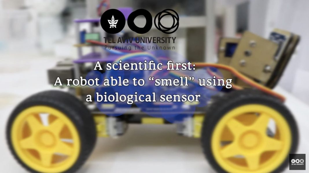 robot-detecta-olores