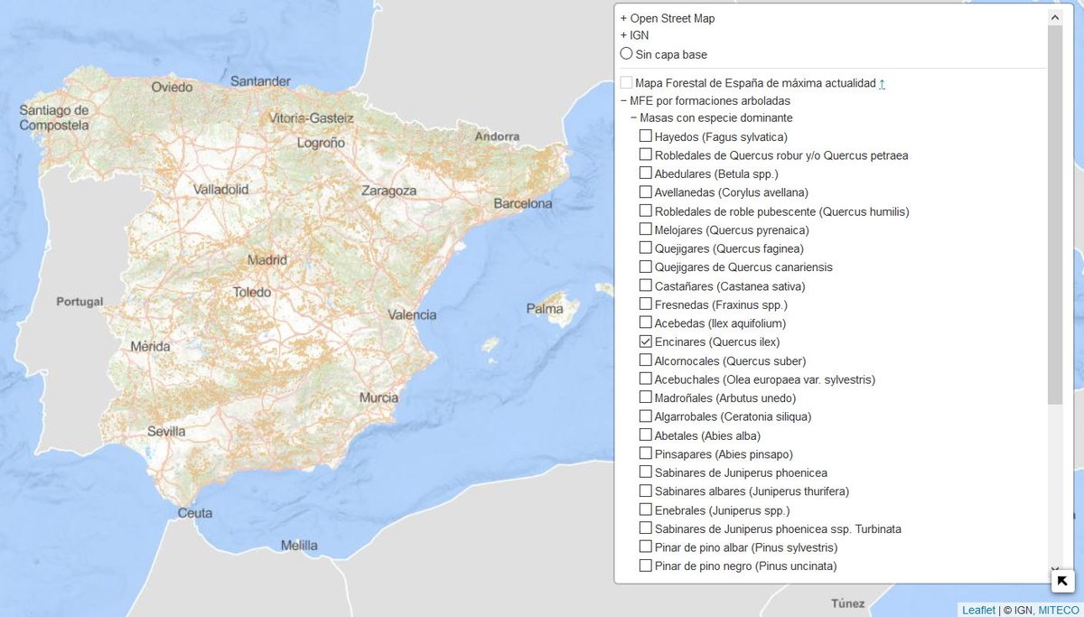 Geamap: El mapa viral que te permite ver cómo era tu calle en la década de 1950