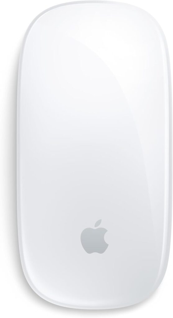 Apple Raton Magic Mouse