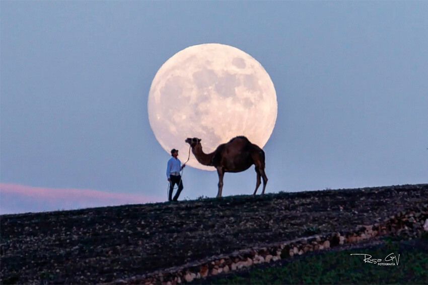Magia en la oscuridad y artesanía de luz: Análisis técnico y práctico del taller de Lightpainting con Rosa García 4 El camello y la luna
